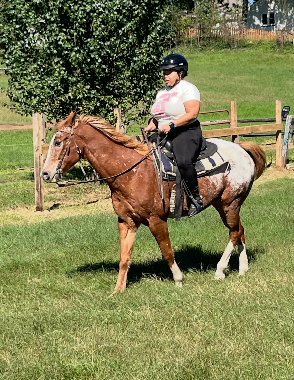 Adult rider on horseback at The Educated Horsemen farm
